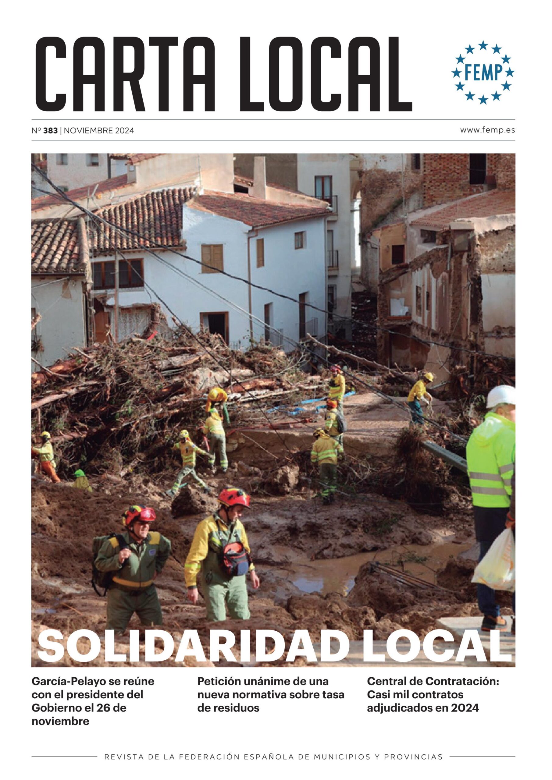 Carta Local nº 383 – Noviembre 2024