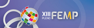 XIII Pleno de la FEMP