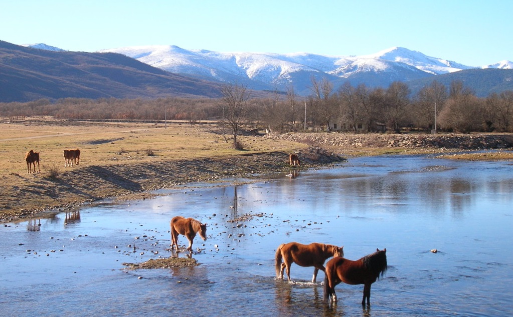 Alameda del Valle