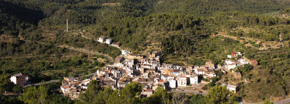 Alcudia de Veo