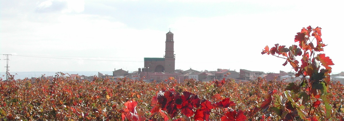 Aldeanueva de Ebro