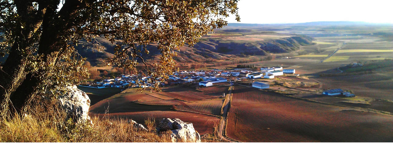 Campos del Paraíso