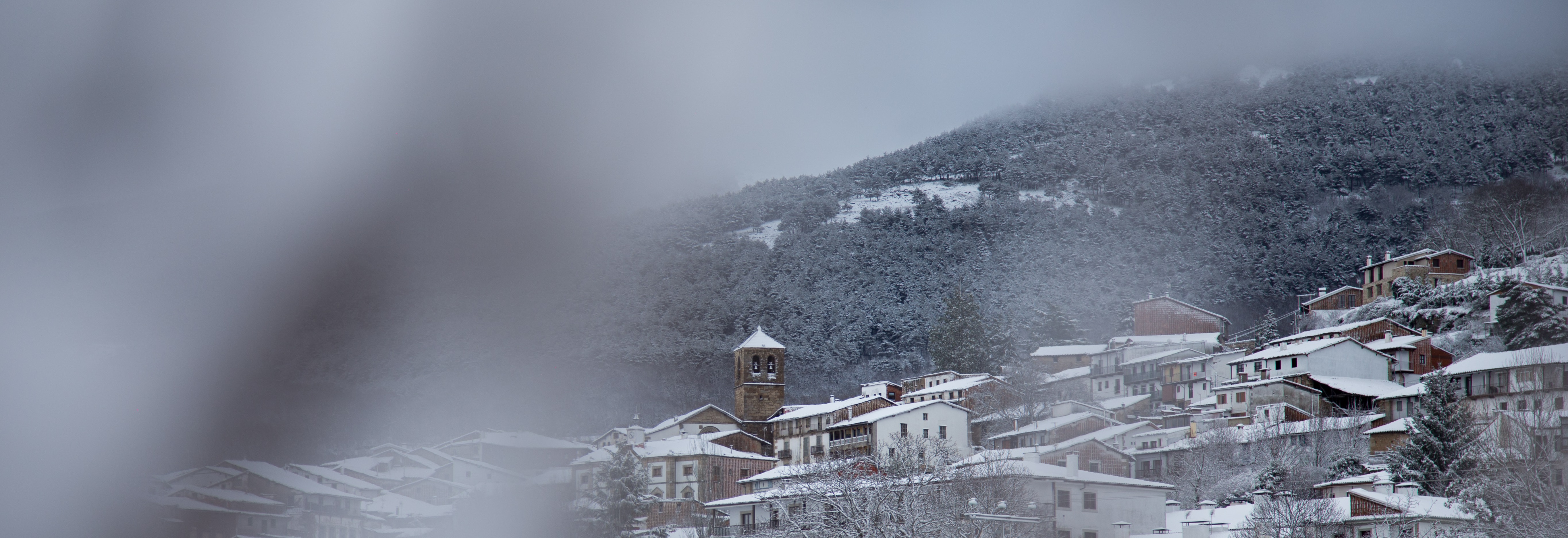 Candelario