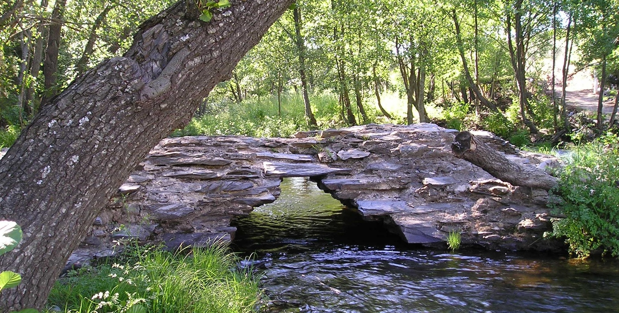 Castañar de Ibor