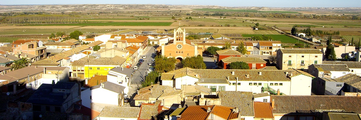 Quinto