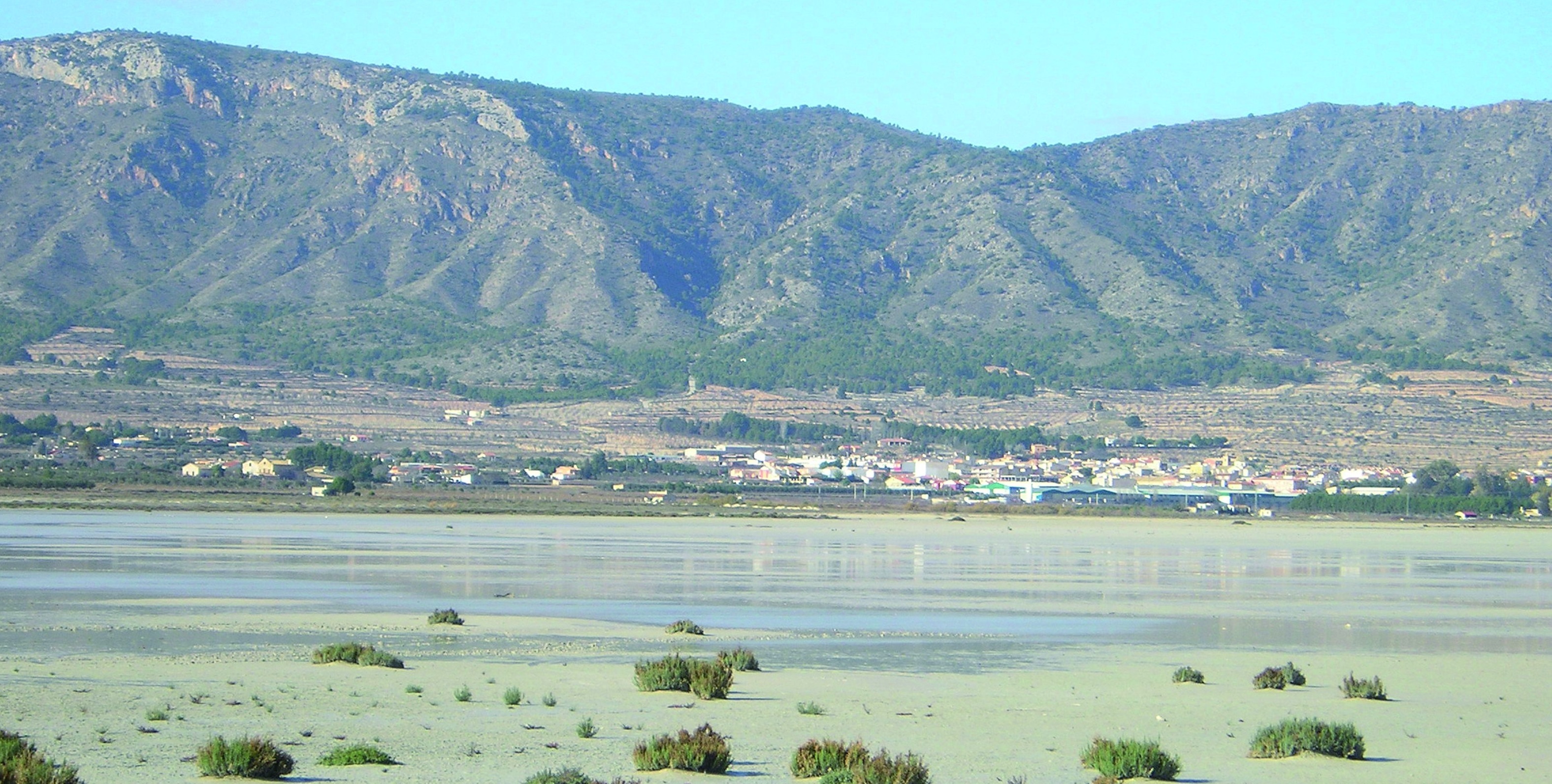 Salinas