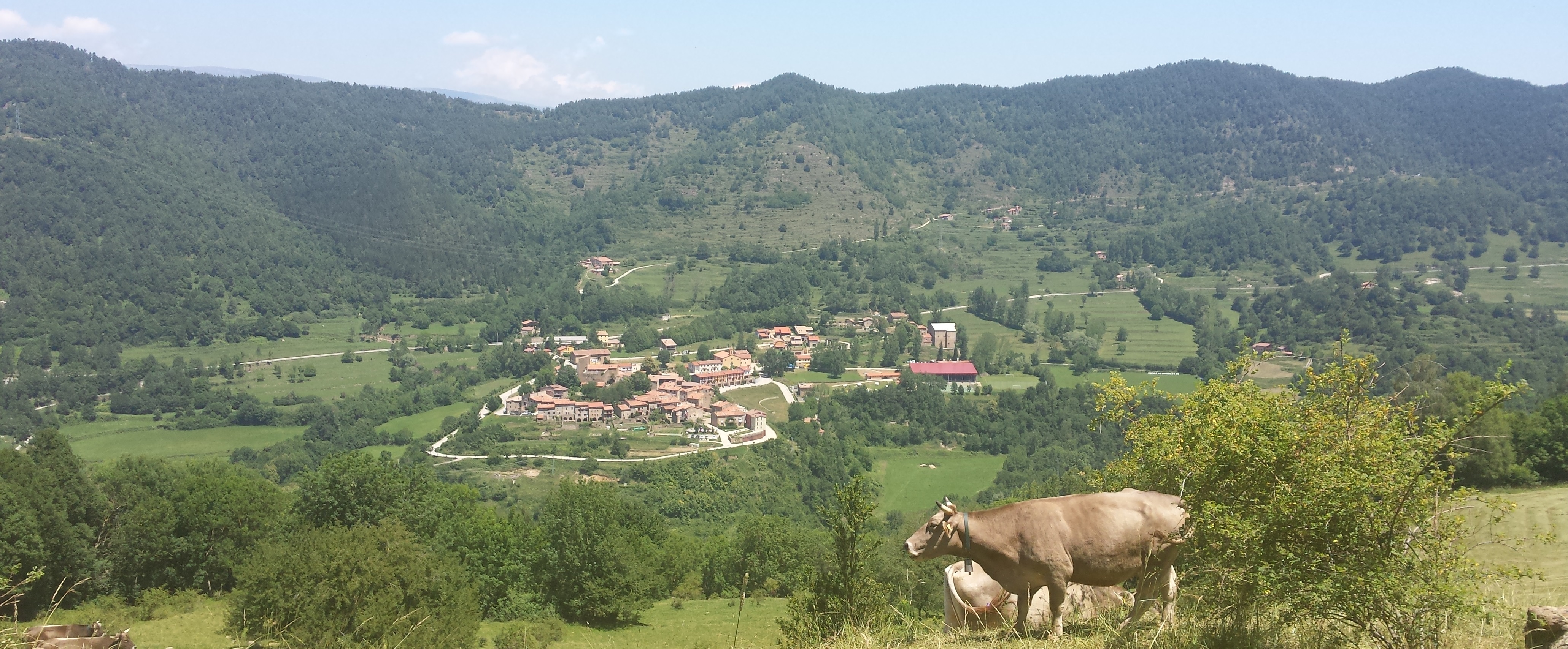 Vallfogona de Ripollès