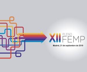 XII Pleno de la FEMP