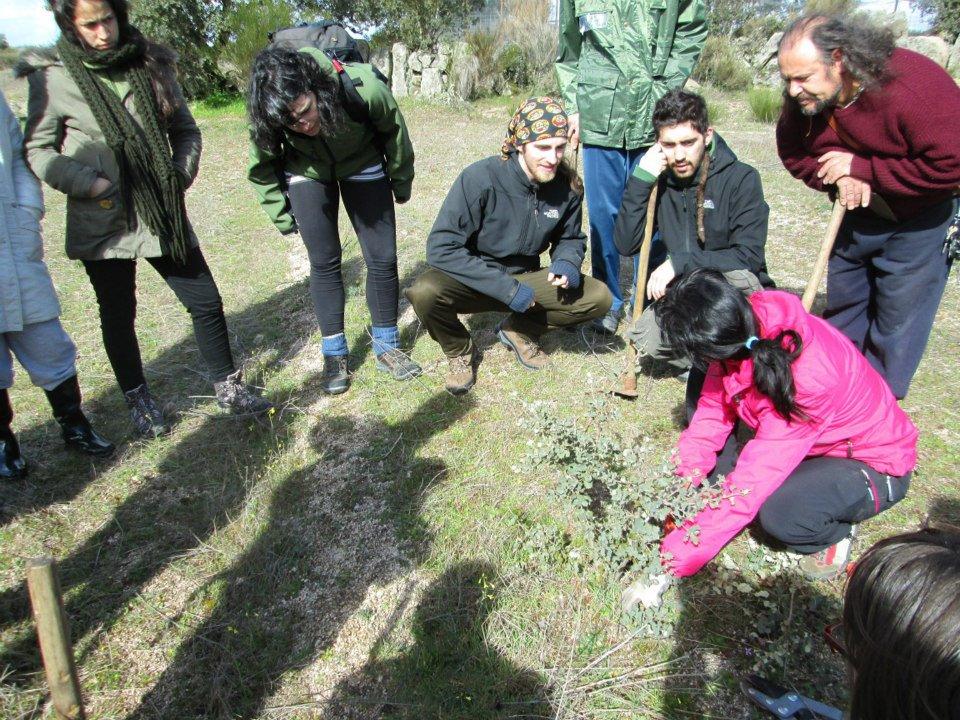30 proyectos locales recibirán ayudas
