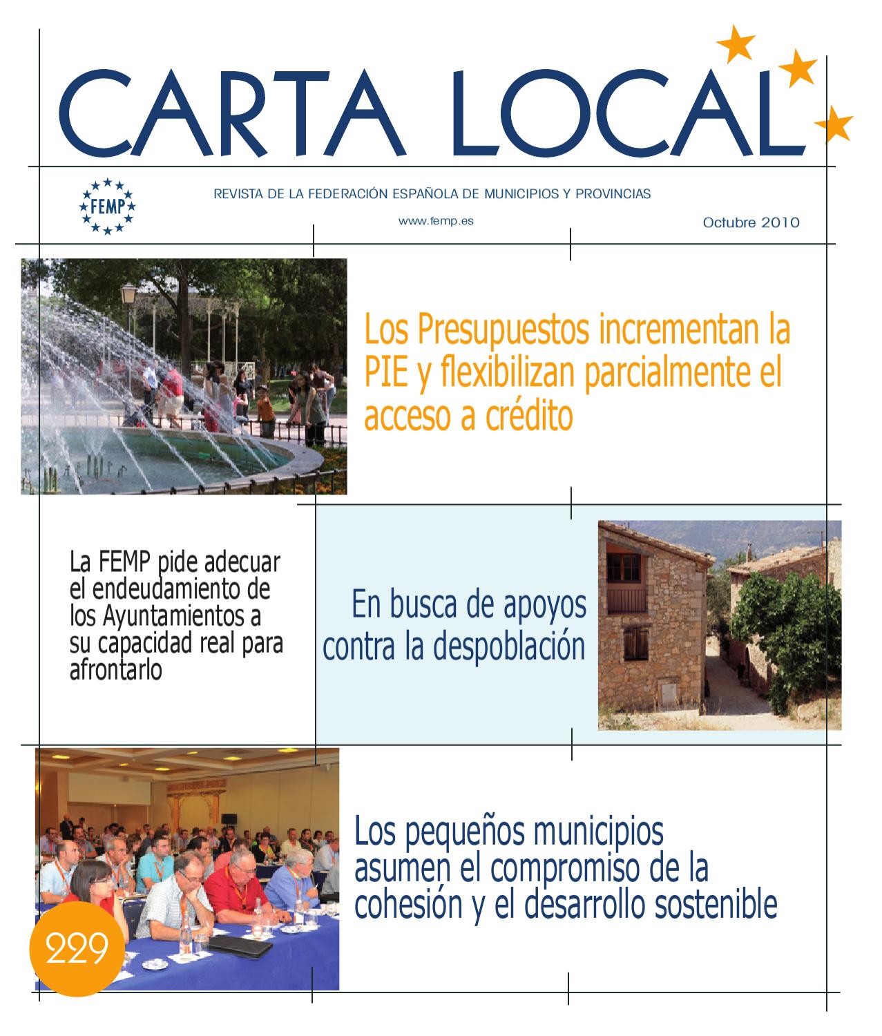 Carta Local nº 229 – Octubre 2010