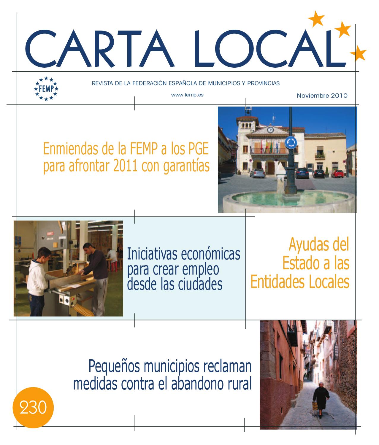 Carta Local nº 230 – Noviembre 2010