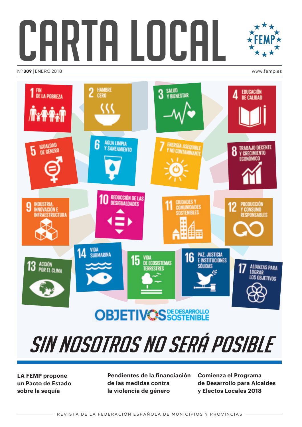 Carta Local nº 309 – Enero 2018