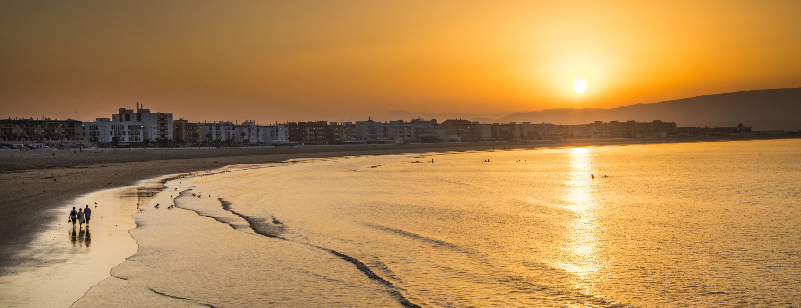 Barbate