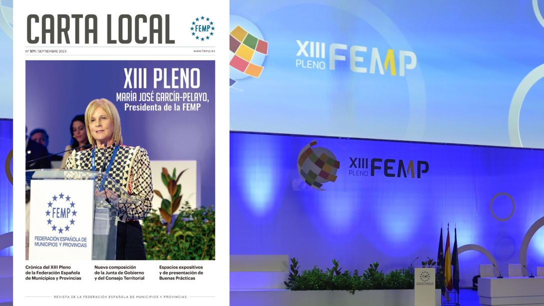 Carta Local 371: XIII Pleno