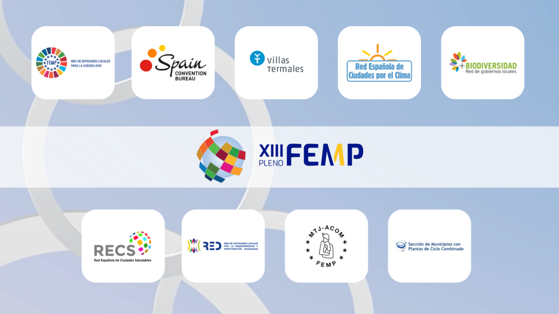 Las Redes y Secciones de la FEMP, en el XIII Pleno