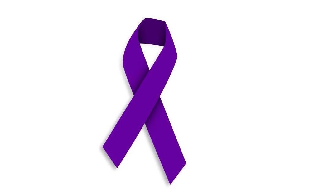 La FEMP contra la violencia de género