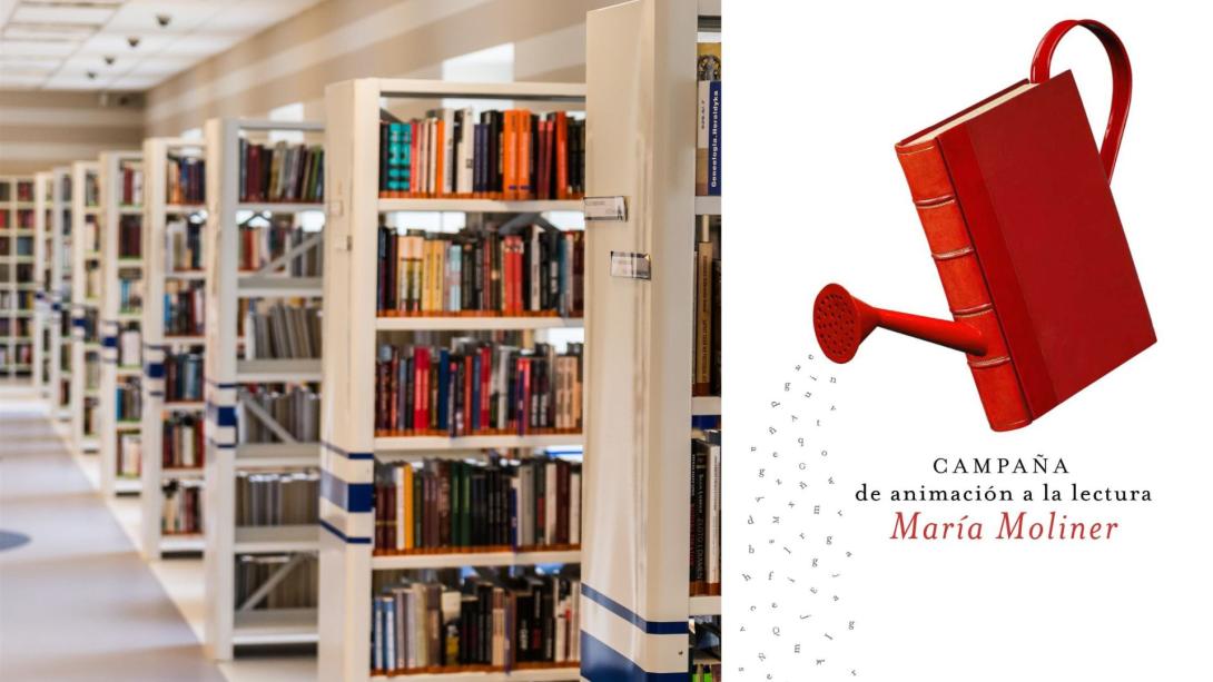 La FEMP y Cultura premian a 370 bibliotecas en la XXII edición del María Moliner