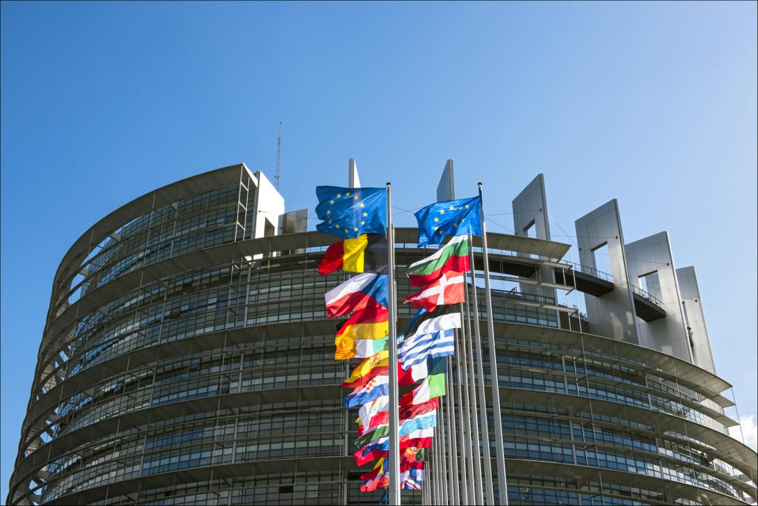 El Parlamento Europeo incorpora la despoblación como asunto prioritario en la agenda continental, a propuesta de la FEMP
