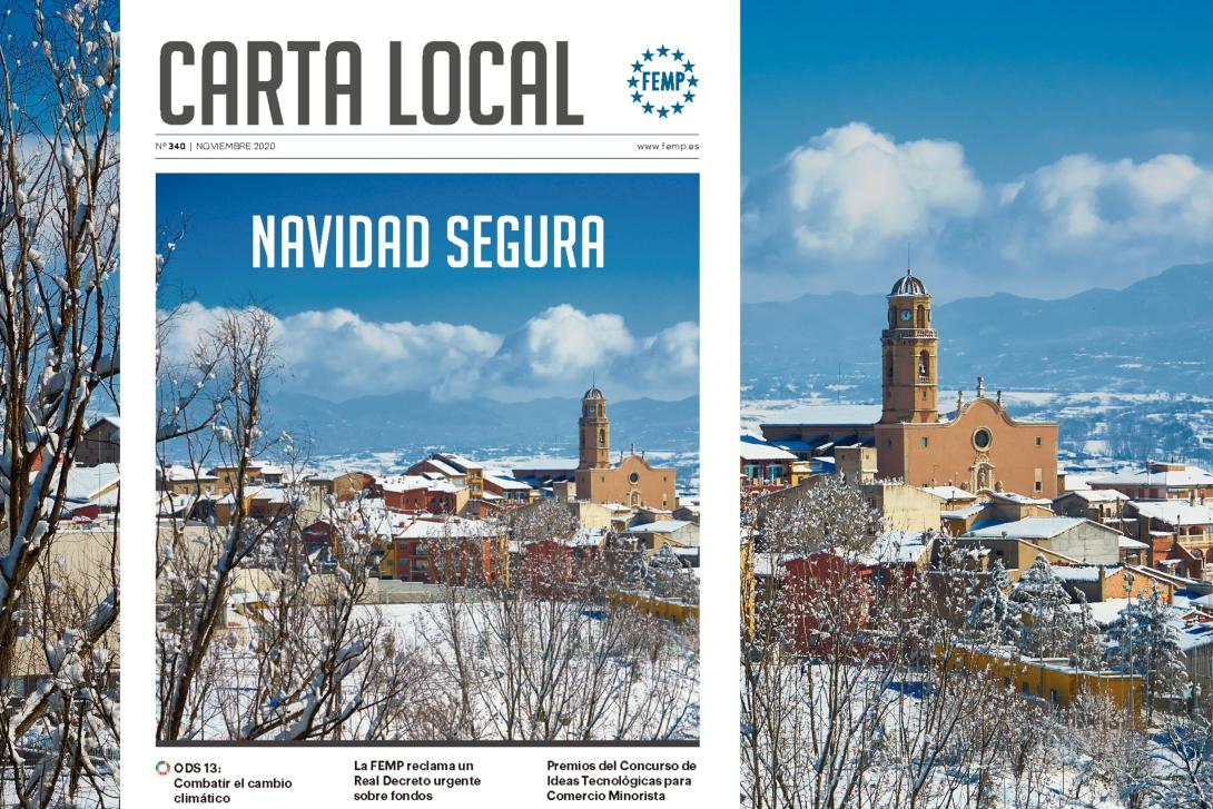 Carta Local: Navidad Segura