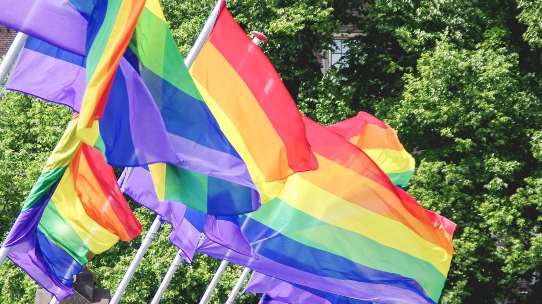 “Desde las Instituciones debemos asegurar la igualdad efectiva de todas las personas LGTBI y sus familias”