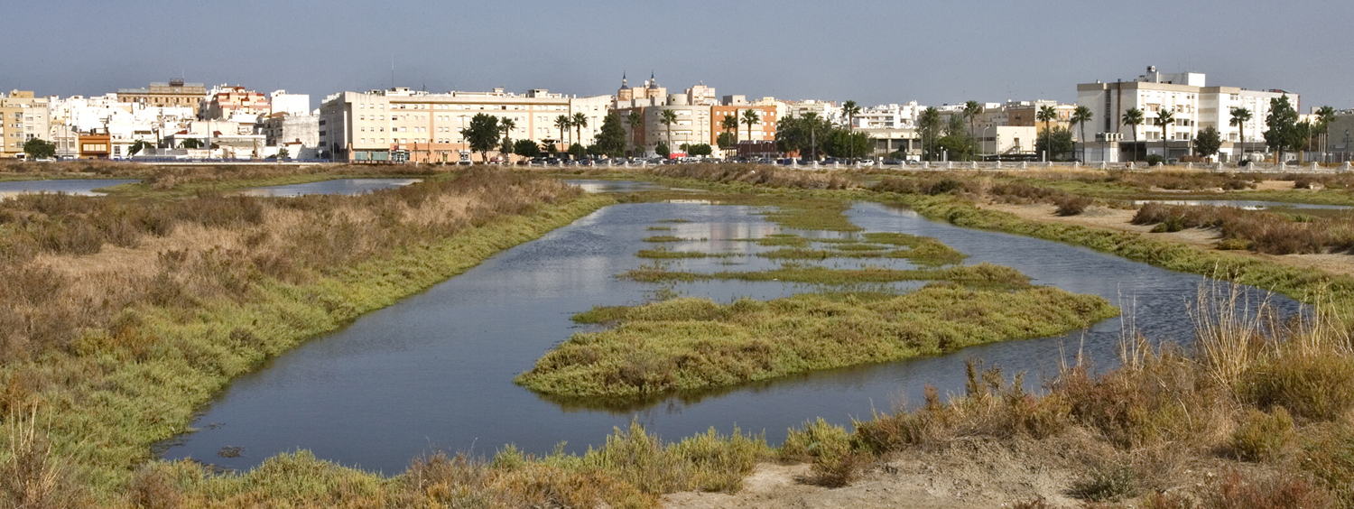 San Fernando de Cádiz
