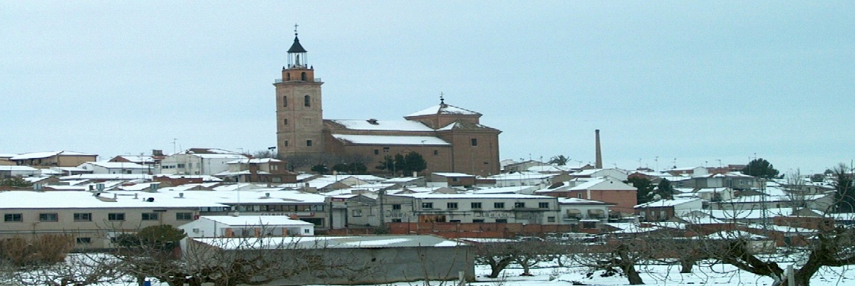 Cebolla