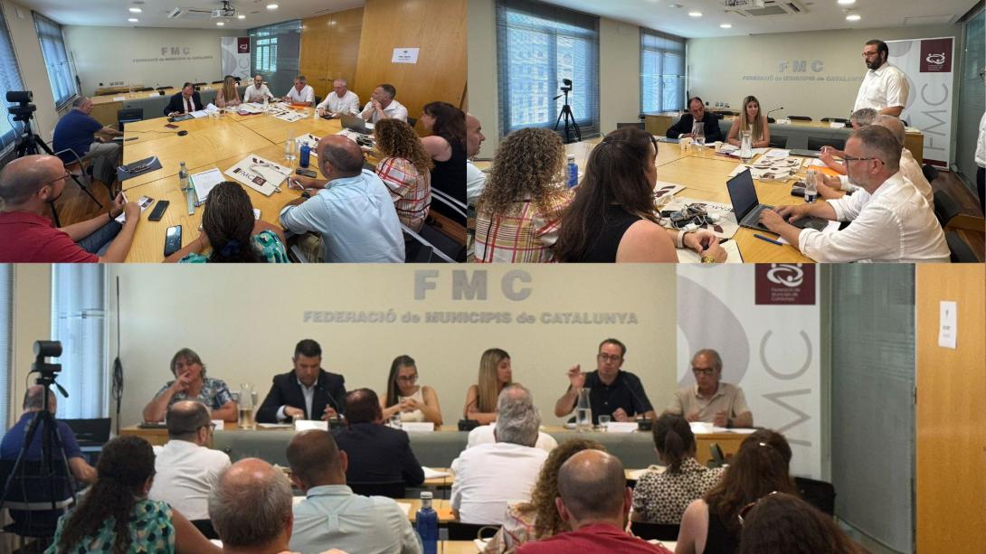 Un estatuto para los municipios rurales