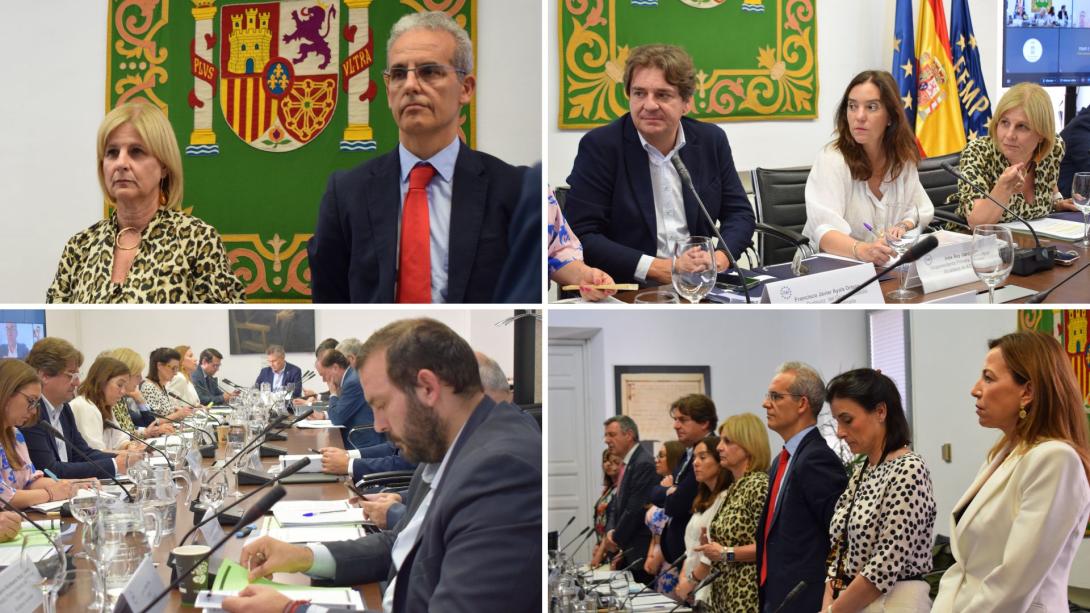 La FEMP reitera la necesidad de convocar una CNAL ordinaria