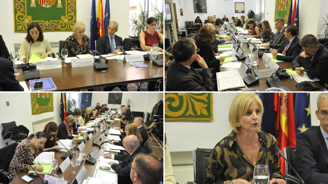 30 Comisiones y 10 Redes y Secciones articularán el funcionamiento de la FEMP en este mandato