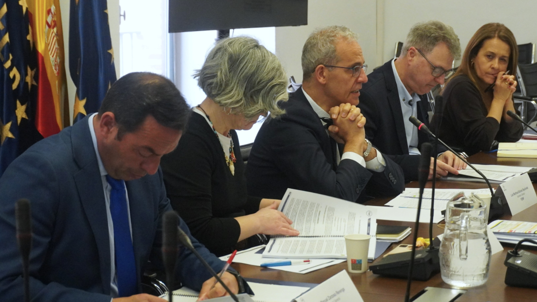 Avanza la preparación del próximo Consejo Territorial de la FEMP
