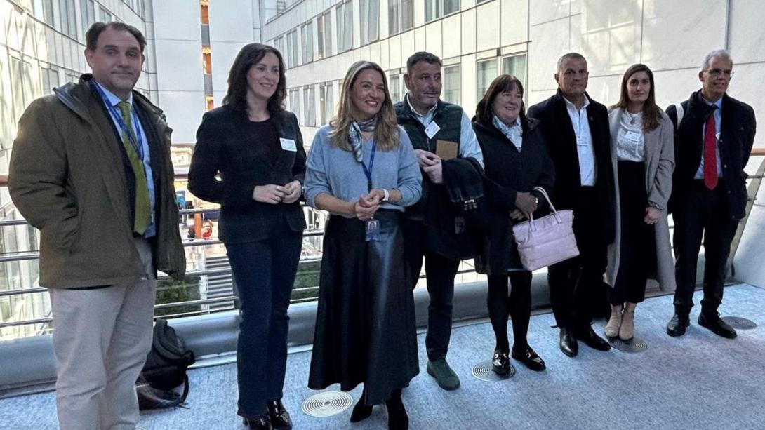 La FEMP traslada a la UE la necesidad de abordar una “verdadera transición justa” para los municipios con un pasado minero