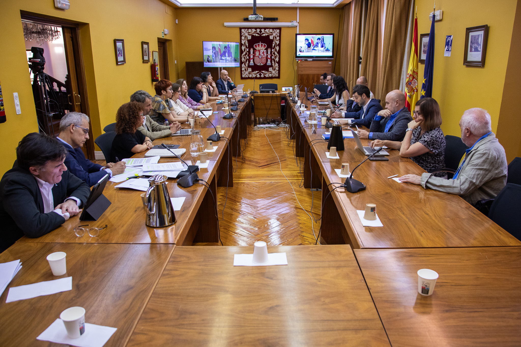 La FEMP pide que el sistema de dependencia cuente con garantía financiera para los ayuntamientos y preste atención al mundo rural