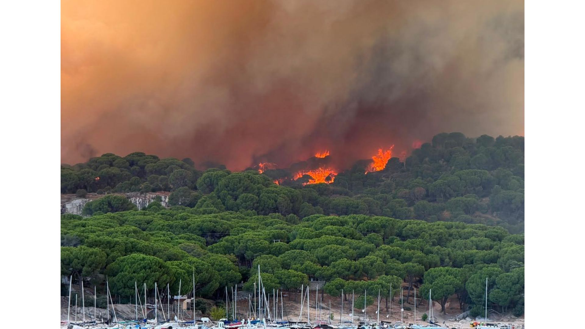La FEMP, a disposición de las familias y municipios afectados por el fuego