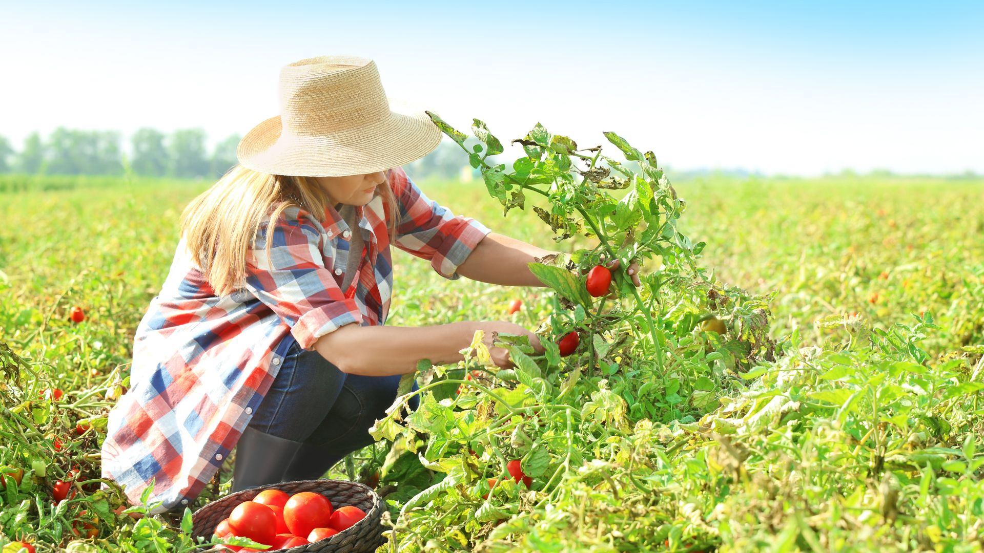 La FEMP reconoce la contribución de la mujer rural al desarrollo económico, social, cultural y ambiental de nuestros municipios